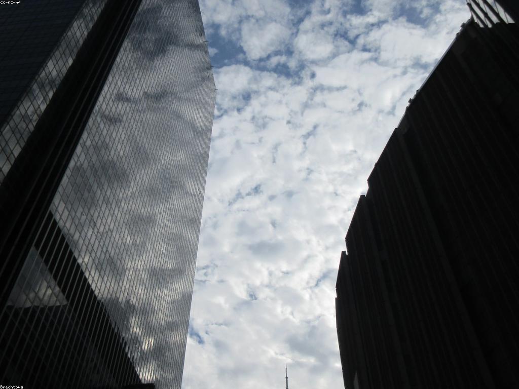 ការត្រួតពិនិត្យព័ត៌មានប្រកួត: តើអ្នកត្រូវដឹងអ្វីខ្លះ?