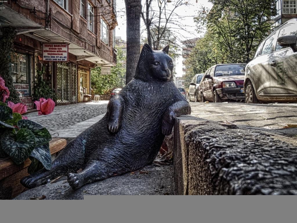 វិធីសាស្ត្រការតាមដានមានប្រសិទ្ធភាពសម្រាប់ការអភិវឌ្ឍន៍អាជីវកម្ម